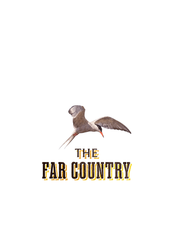 The Far Country title